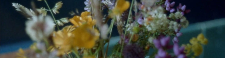 GLIMPSES UTE AURAND